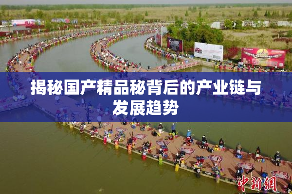 揭秘国产精品秘背后的产业链与发展趋势