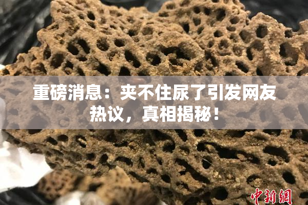 重磅消息：夹不住尿了引发网友热议，真相揭秘！