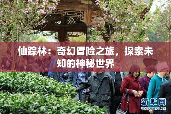 仙踪林：奇幻冒险之旅，探索未知的神秘世界