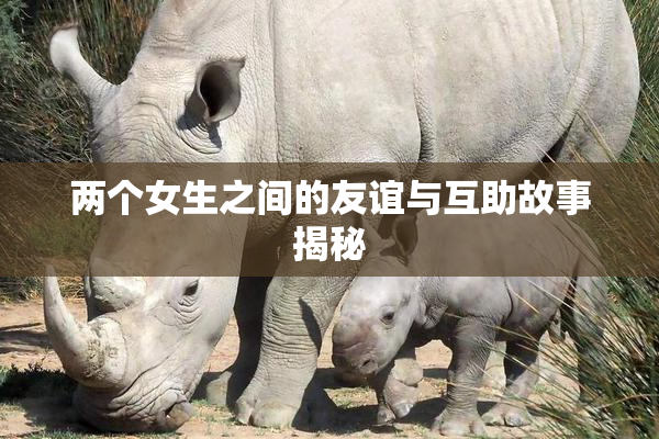 两个女生之间的友谊与互助故事揭秘