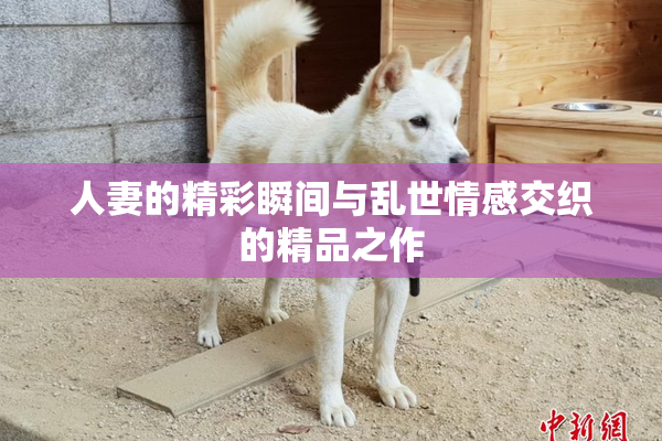 人妻的精彩瞬间与乱世情感交织的精品之作