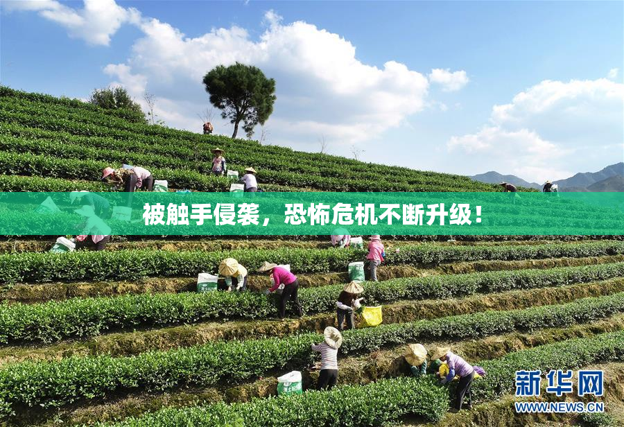 被触手侵袭，恐怖危机不断升级！
