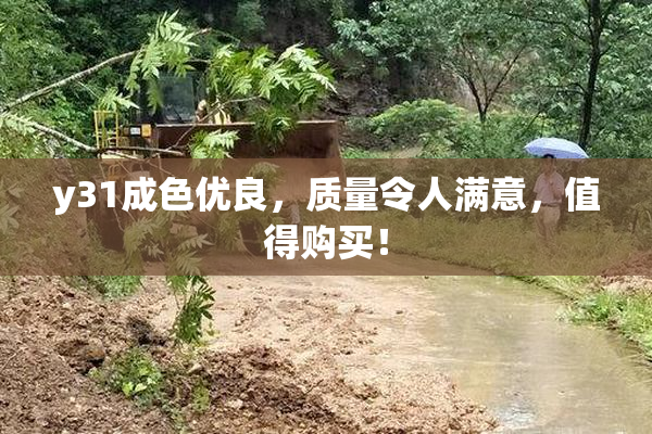 y31成色优良，质量令人满意，值得购买！
