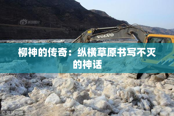 柳神的传奇：纵横草原书写不灭的神话