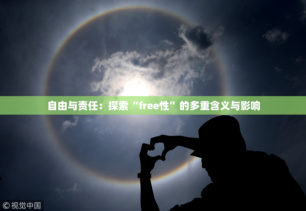 自由与责任：探索“free性”的多重含义与影响