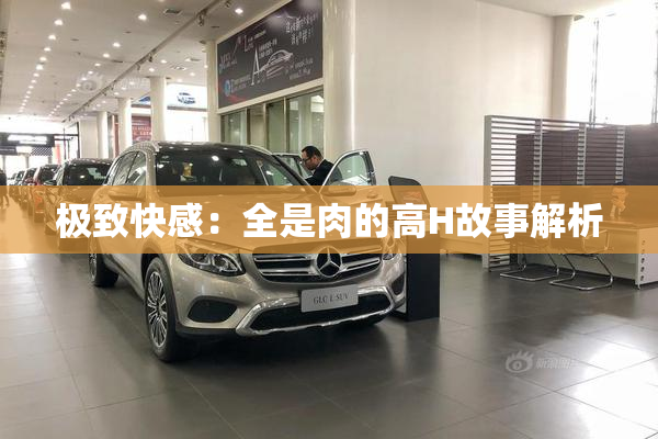 极致快感：全是肉的高H故事解析