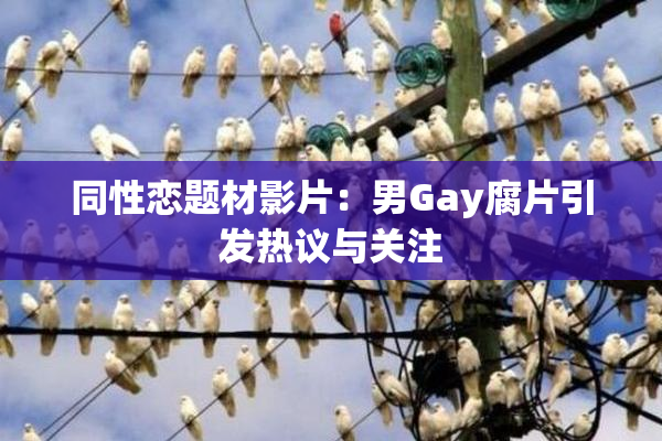 同性恋题材影片：男Gay腐片引发热议与关注