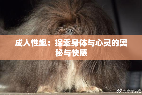 成人性趣：探索身体与心灵的奥秘与快感