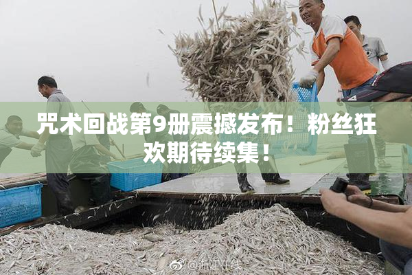 咒术回战第9册震撼发布！粉丝狂欢期待续集！