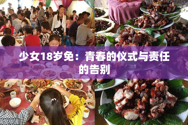 少女18岁免：青春的仪式与责任的告别