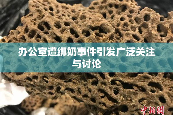 办公室遭绑奶事件引发广泛关注与讨论