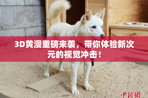 3D黄漫重磅来袭，带你体验新次元的视觉冲击！