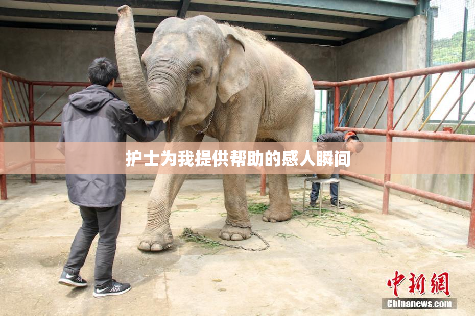 护士为我提供帮助的感人瞬间