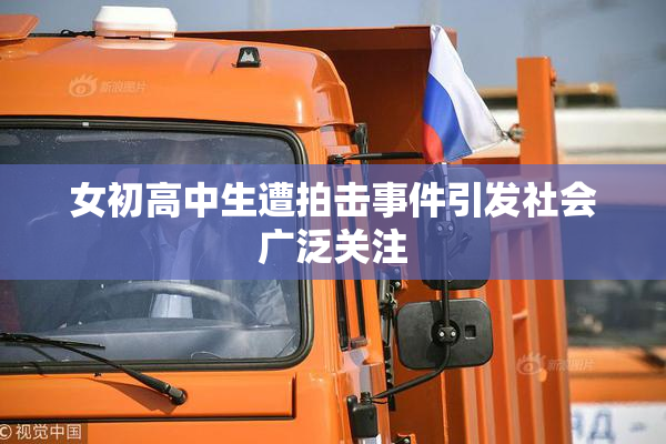 女初高中生遭拍击事件引发社会广泛关注