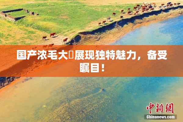 国产浓毛大泬展现独特魅力，备受瞩目！