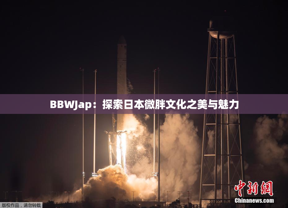 BBWJap：探索日本微胖文化之美与魅力