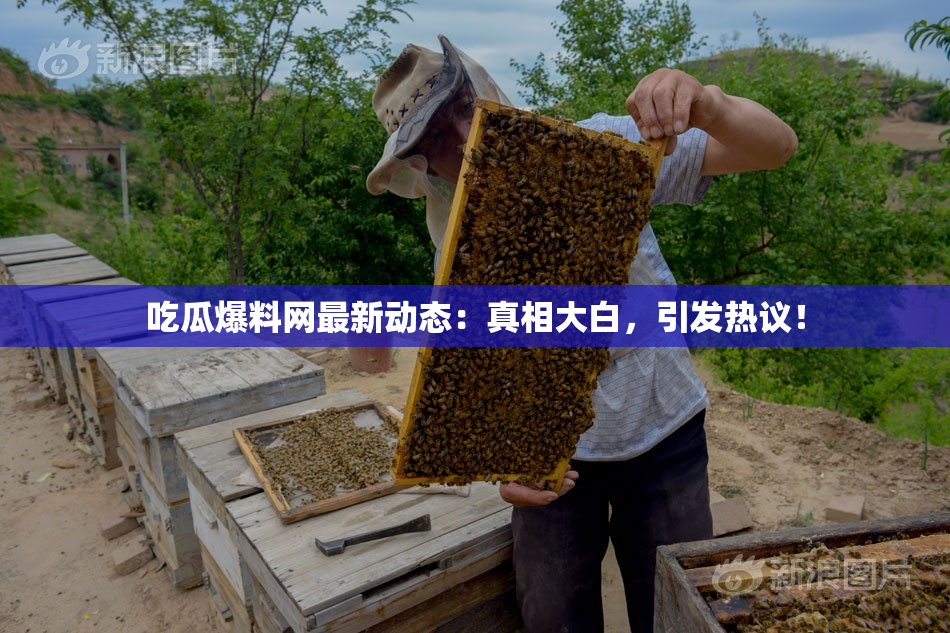 吃瓜爆料网最新动态：真相大白，引发热议！