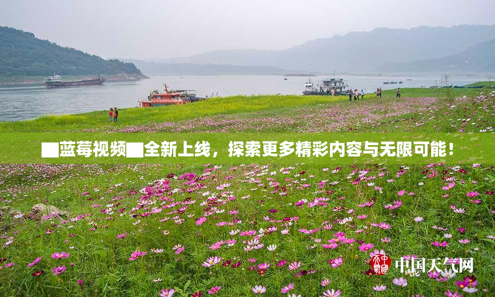 ▇蓝莓视频▇全新上线，探索更多精彩内容与无限可能！