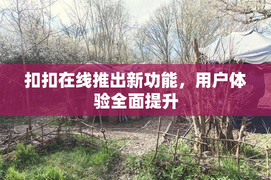 扣扣在线推出新功能，用户体验全面提升