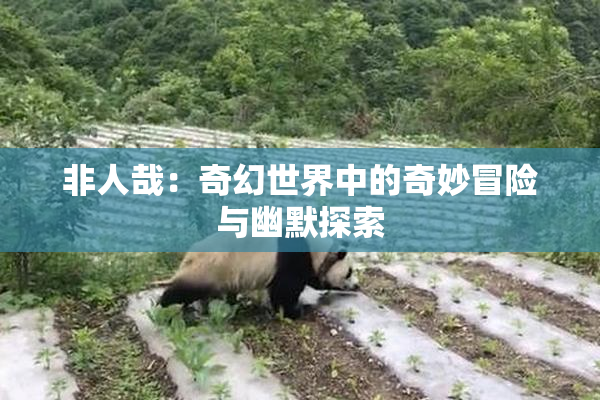 非人哉：奇幻世界中的奇妙冒险与幽默探索