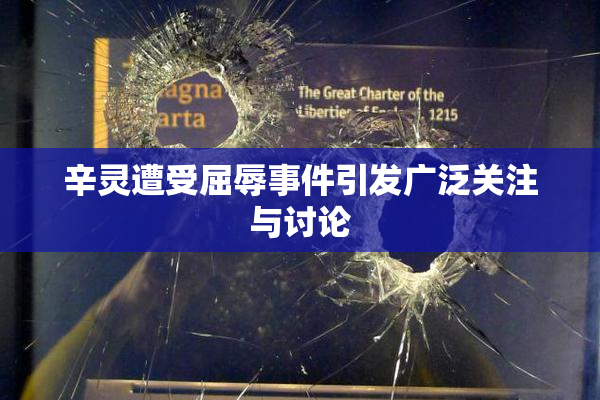 辛灵遭受屈辱事件引发广泛关注与讨论