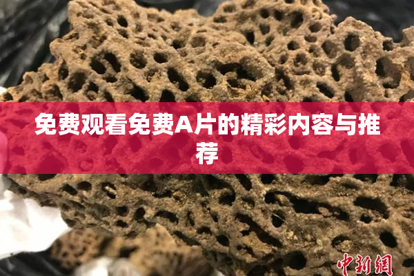 免费观看免费A片的精彩内容与推荐