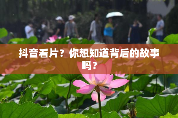 抖音看片？你想知道背后的故事吗？