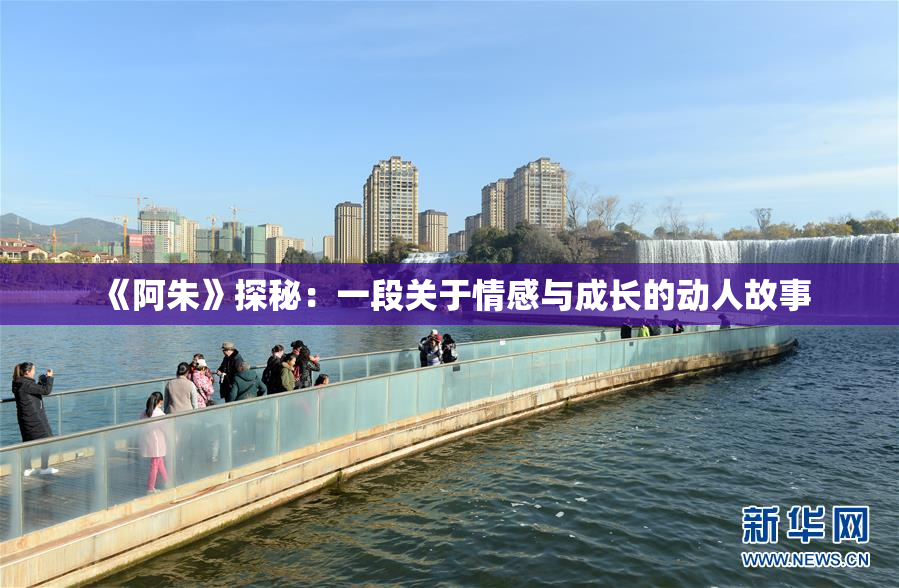 《阿朱》探秘：一段关于情感与成长的动人故事
