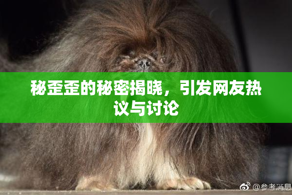 秘歪歪的秘密揭晓，引发网友热议与讨论