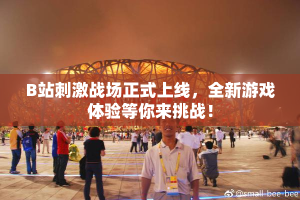 B站刺激战场正式上线，全新游戏体验等你来挑战！
