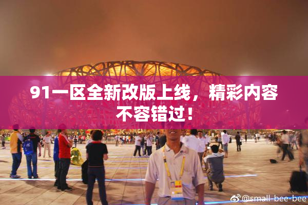 91一区全新改版上线，精彩内容不容错过！