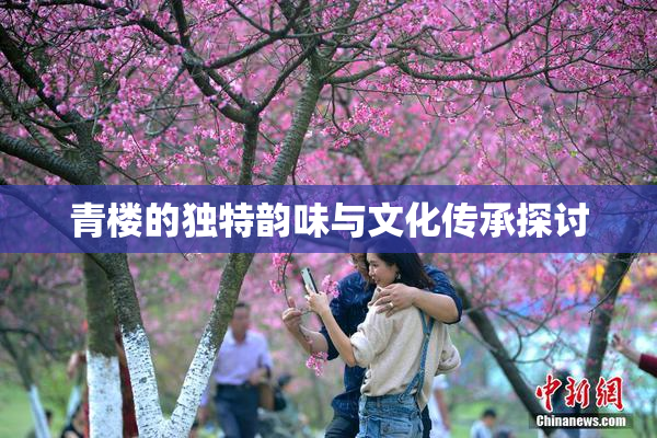 青楼的独特韵味与文化传承探讨