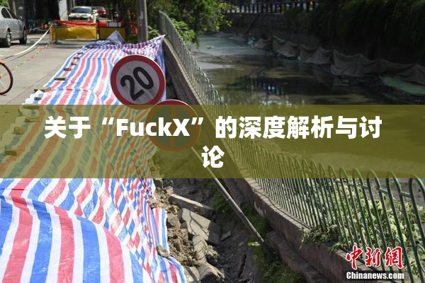 关于“FuckX”的深度解析与讨论