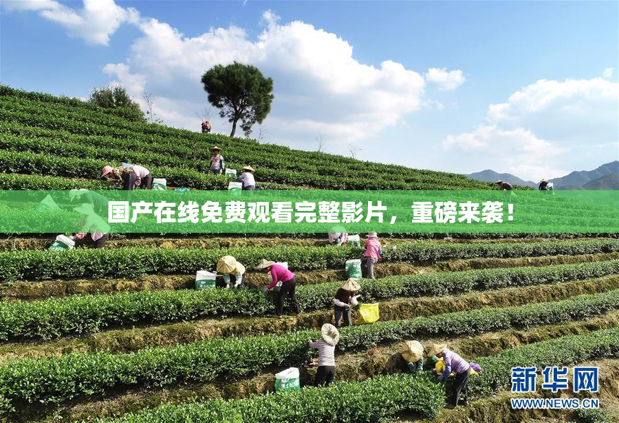 国产在线免费观看完整影片，重磅来袭！