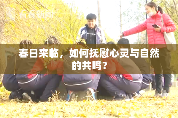 春日来临，如何抚慰心灵与自然的共鸣？