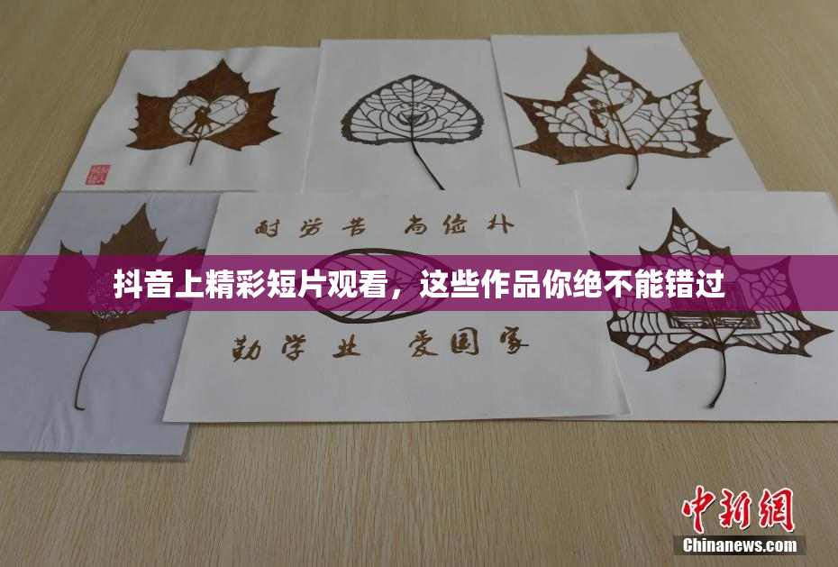 抖音上精彩短片观看，这些作品你绝不能错过