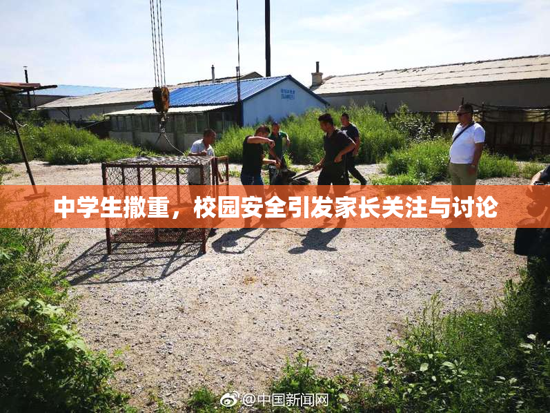 中学生撒重，校园安全引发家长关注与讨论