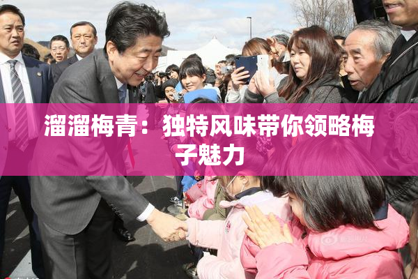溜溜梅青：独特风味带你领略梅子魅力