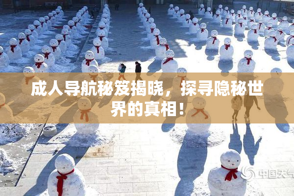 成人导航秘笈揭晓，探寻隐秘世界的真相！