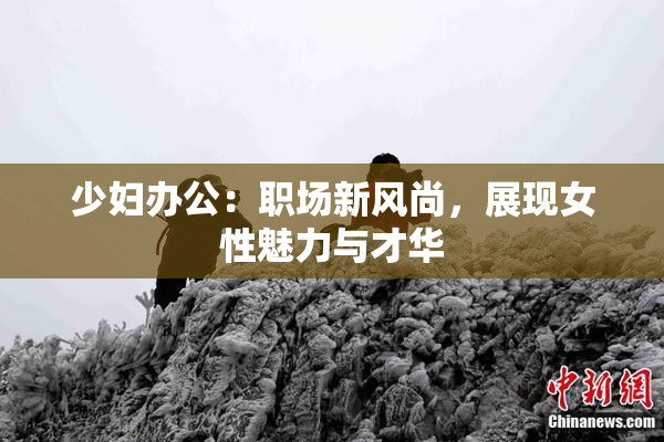少妇办公：职场新风尚，展现女性魅力与才华
