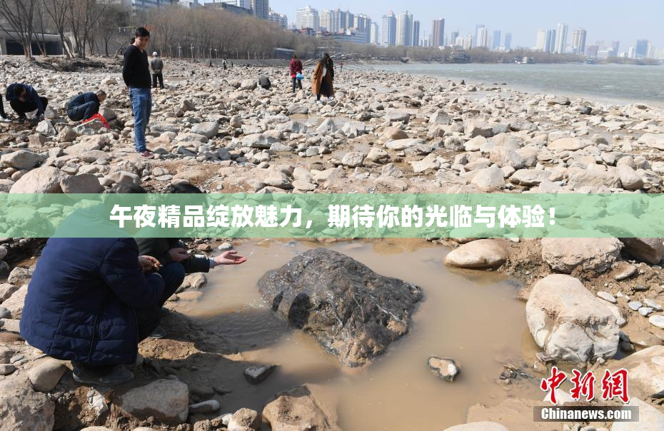 午夜精品绽放魅力，期待你的光临与体验！