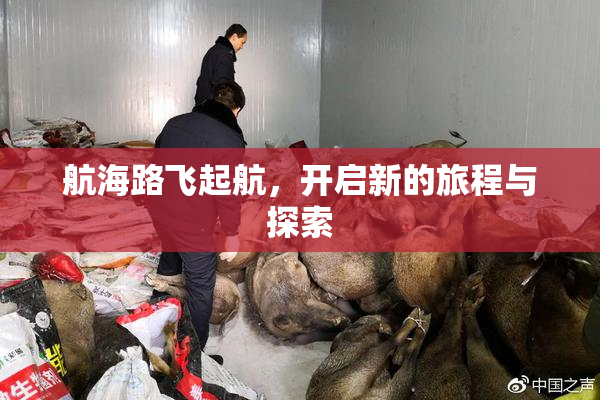 航海路飞起航，开启新的旅程与探索