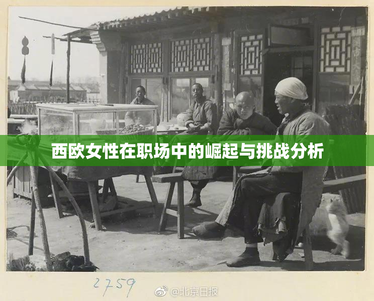 西欧女性在职场中的崛起与挑战分析