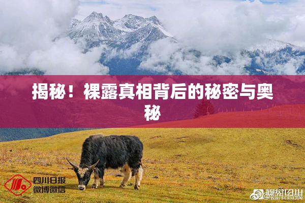 揭秘！裸露真相背后的秘密与奥秘