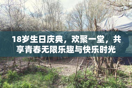 18岁生日庆典，欢聚一堂，共享青春无限乐趣与快乐时光