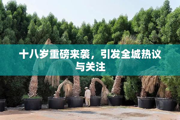 十八岁重磅来袭，引发全城热议与关注