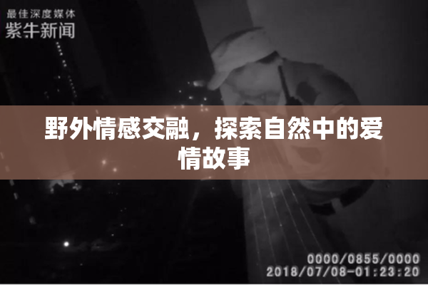 野外情感交融，探索自然中的爱情故事
