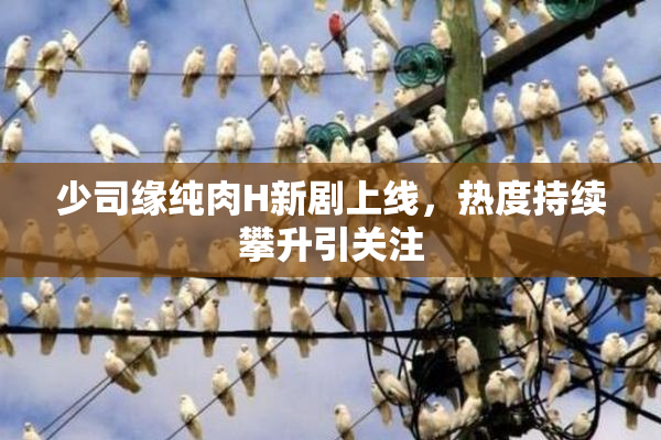 少司缘纯肉H新剧上线，热度持续攀升引关注