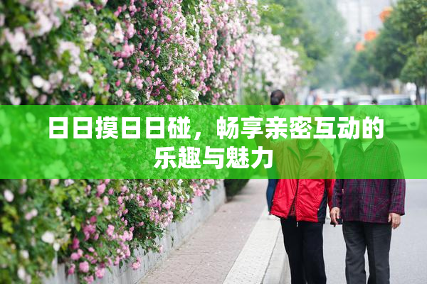 日日摸日日碰，畅享亲密互动的乐趣与魅力
