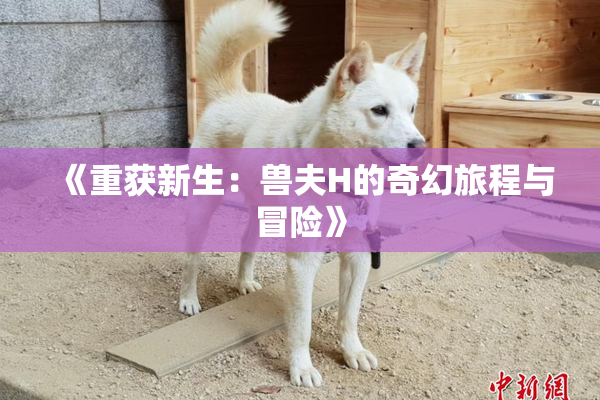 《重获新生：兽夫H的奇幻旅程与冒险》